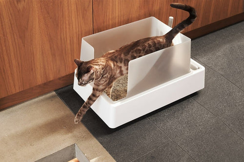 Dailypets All-in-One Litter Box with Scoop Storage