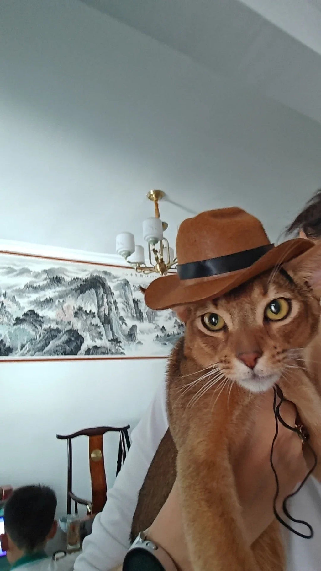 Dailypets Western-Style Cat Bandana for Indoor Cats and Special Occasions