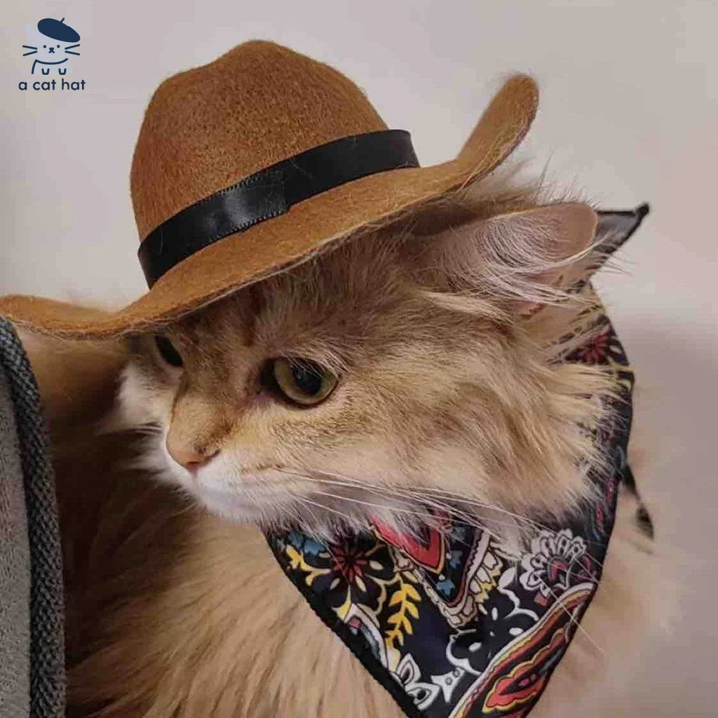 Dailypets Western-Style Cat Bandana for Indoor Cats and Special Occasions