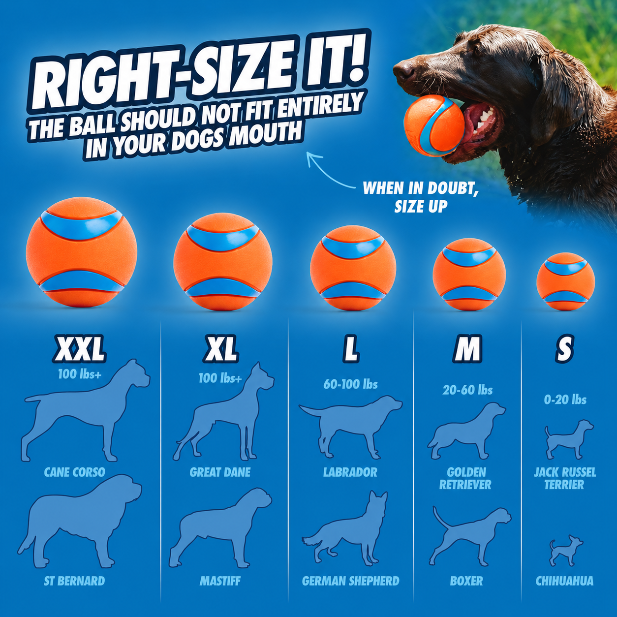 Dailypets Large Rubber Fetch Ball for Dogs with High Bounce Floating Design