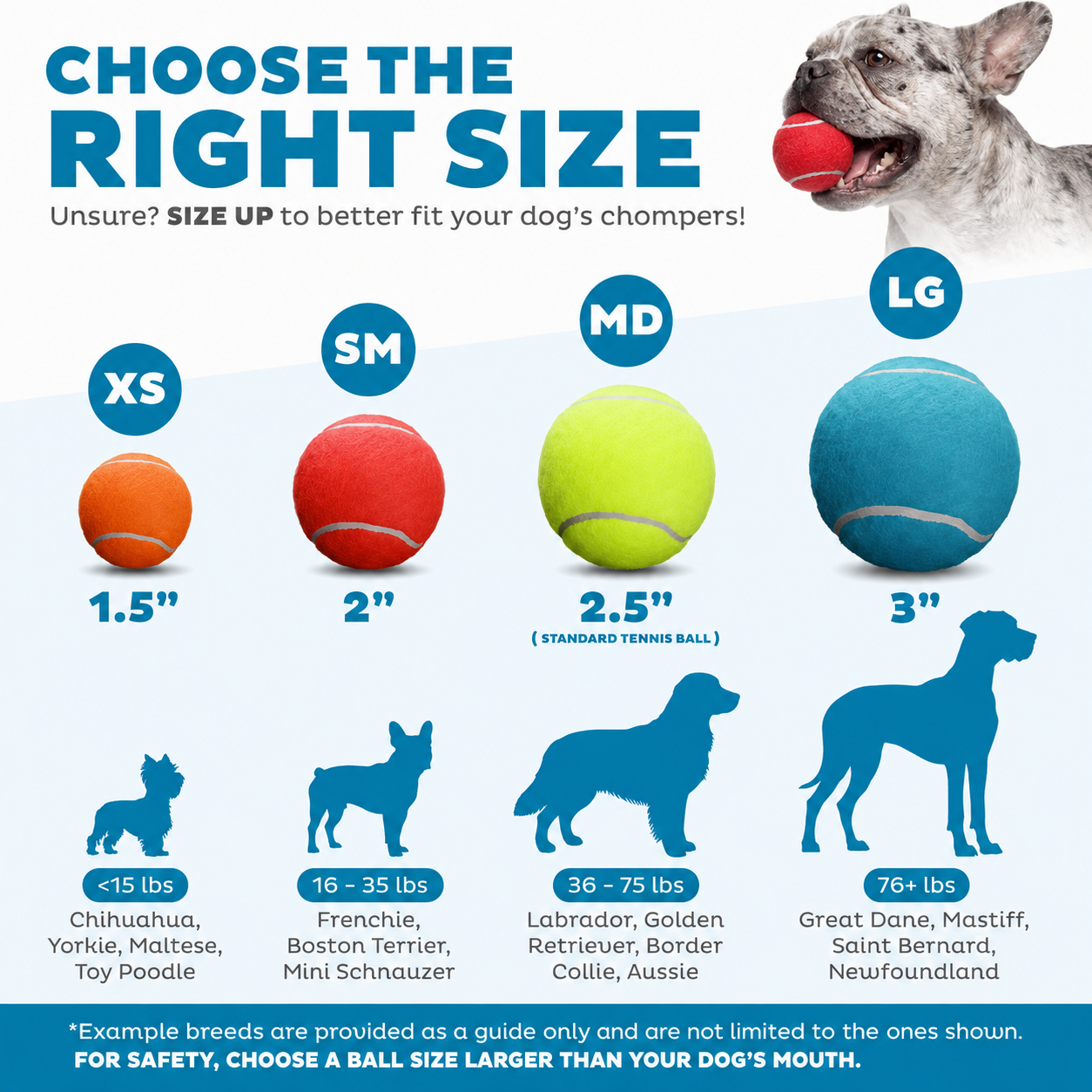 Dailypets High Bounce Squeaky Dog Balls 4 Pack for Medium Dogs Indoor Outdoor Play