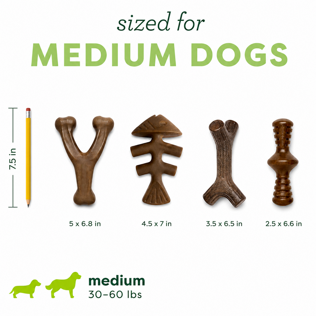 Dailypets Durable Dog Chew Toy Set for Medium Dogs with Four Long Lasting Bones
