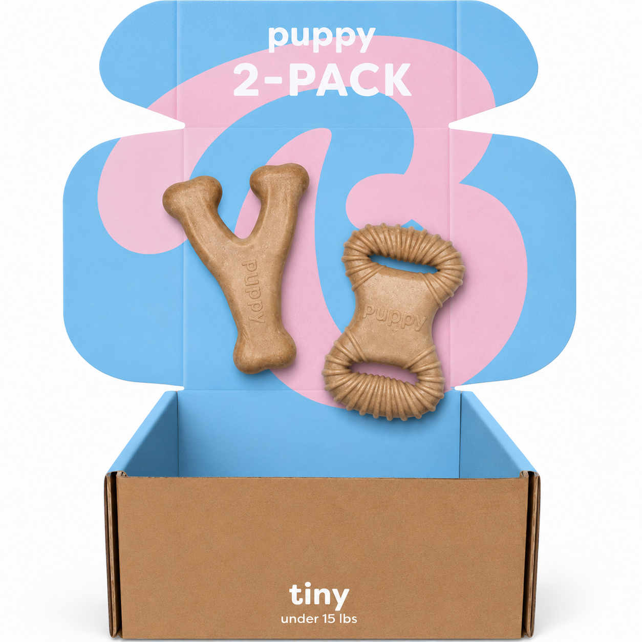 Dailypets Puppy Chew Toy Set with Dental Chew and Wishbone Bacon Flavor 2 Pack