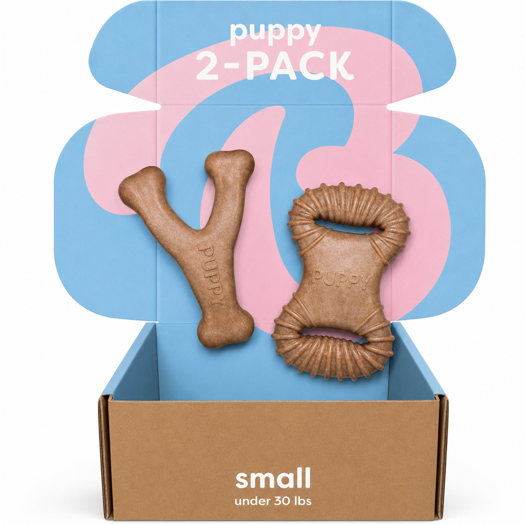 Dailypets Puppy Chew Toy Set with Dental Chew and Wishbone Bacon Flavor 2 Pack
