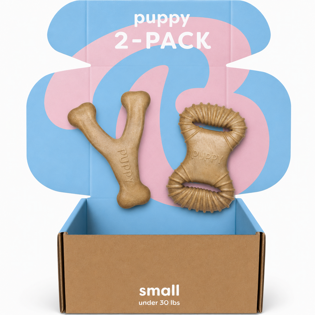 Dailypets Puppy Chew Toy Set with Dental Chew and Wishbone Bacon Flavor 2 Pack