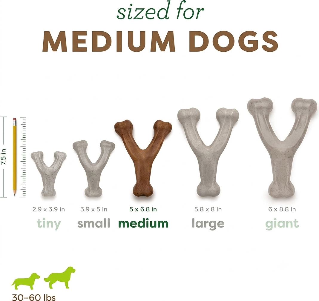 Dailypets Durable Dog Chew Toy for Aggressive Chewers with Bacon Flavor Wishbone