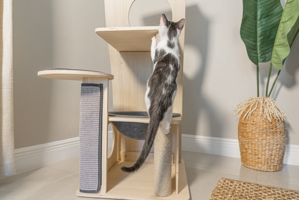 Dailypets Wooden Cat Tree Condo, Multi-Level Tower with Hammock and Cubby