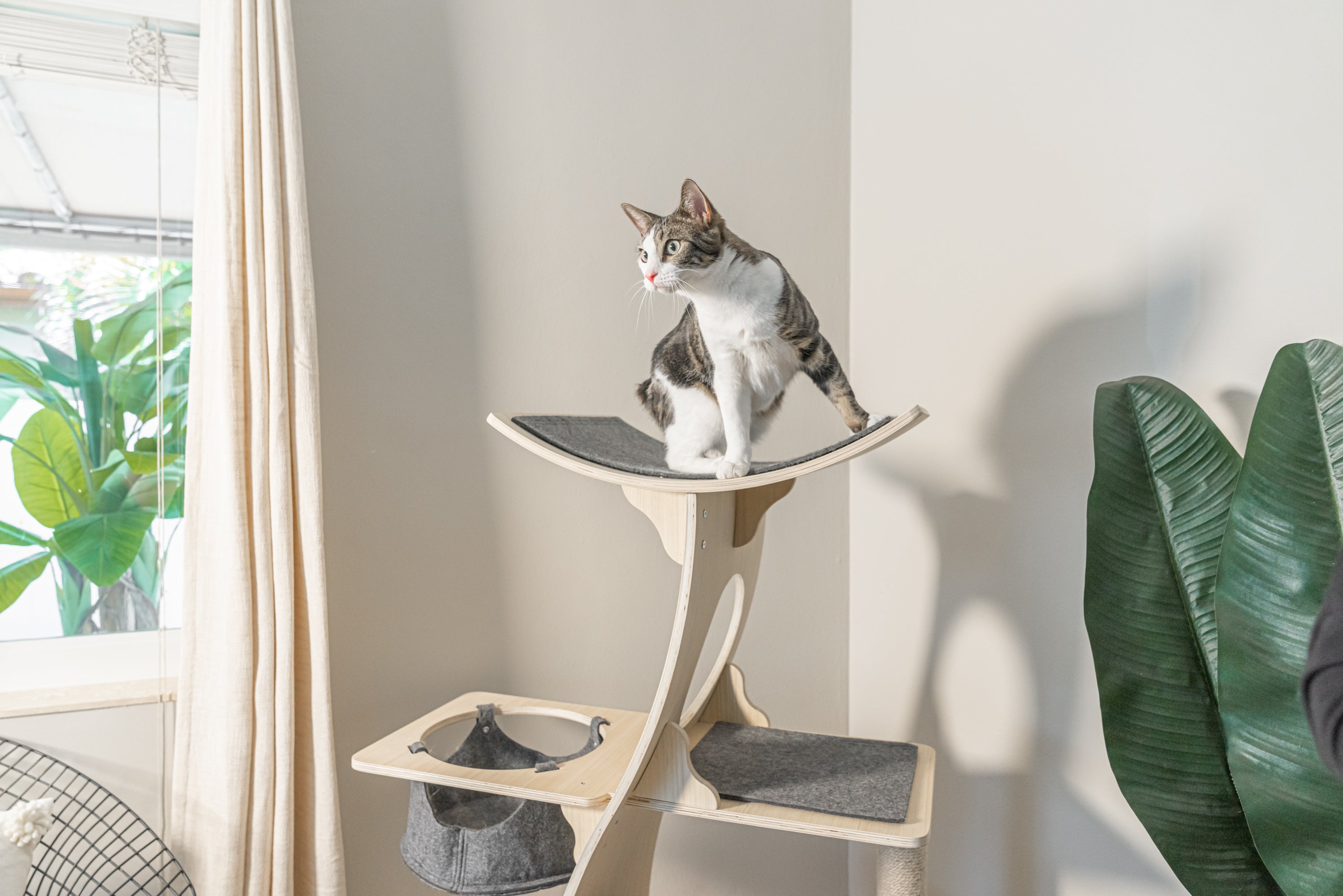 Dailypets Wooden Cat Tower with Observation Perch