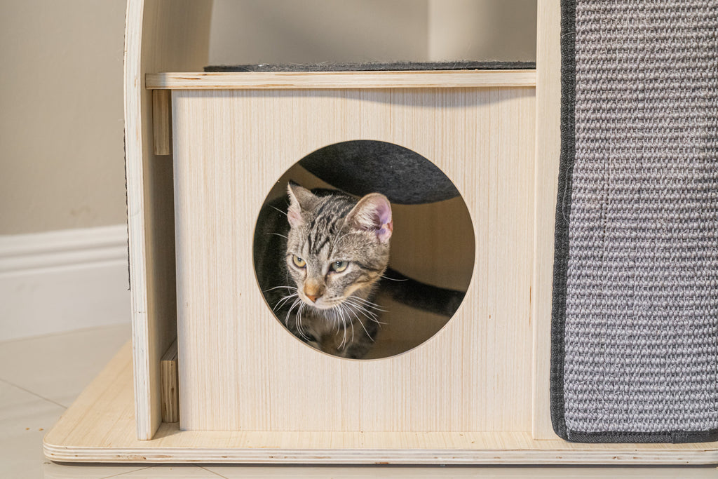 Dailypets Wooden Cat Tree Condo, Multi-Level Tower with Hammock and Cubby