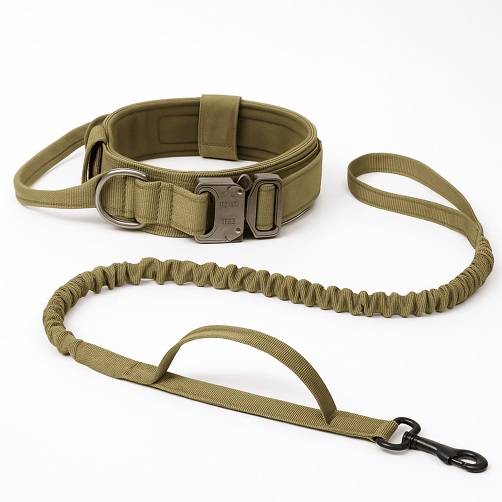 Dailypets Tactical Dog Collar & Bungee Leash Set with Adjustable Nylon Design