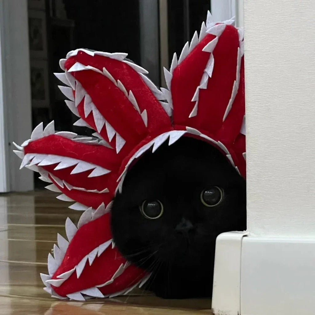 Dailypets Creature-Inspired Pet Flower Collar for Cats and Photo Sessions