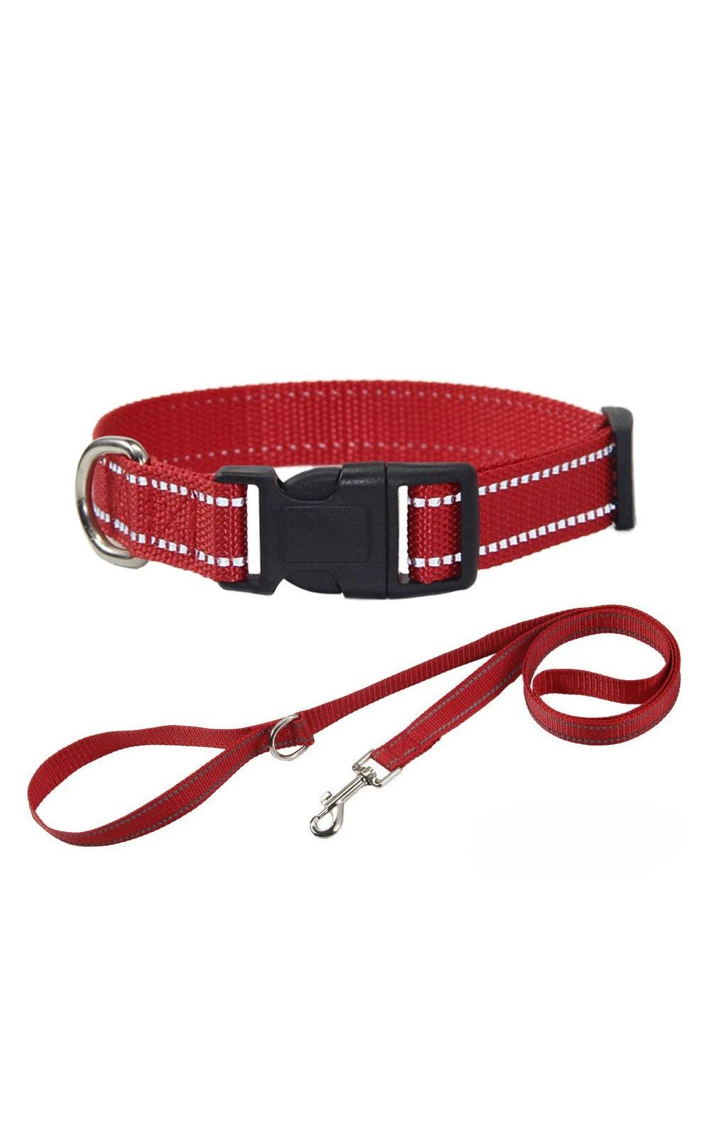 Collier et laisse pour chien en nylon