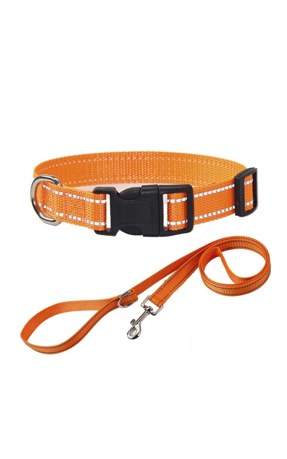 Collier et laisse pour chien en nylon