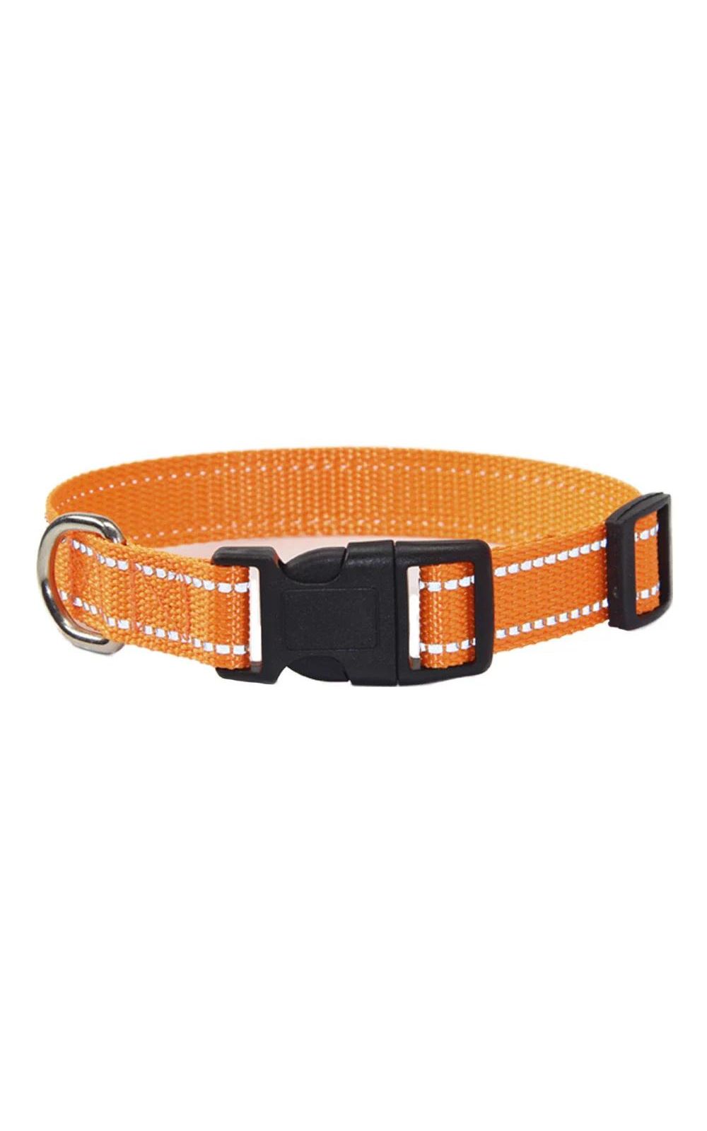 Collier et laisse pour chien en nylon