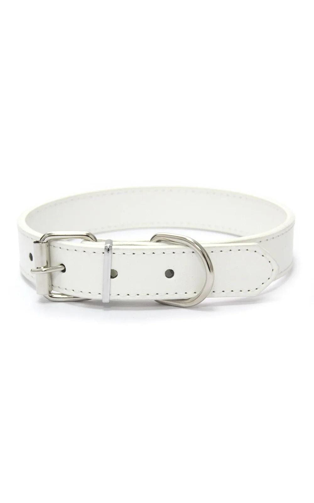 Collier couleur unie  en cuir pour chien