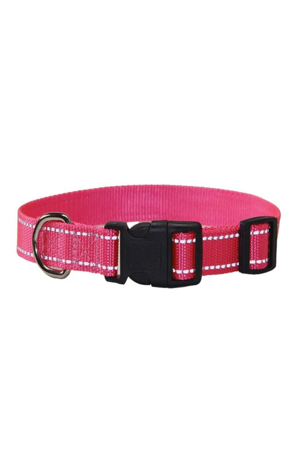 Collier et laisse pour chien en nylon