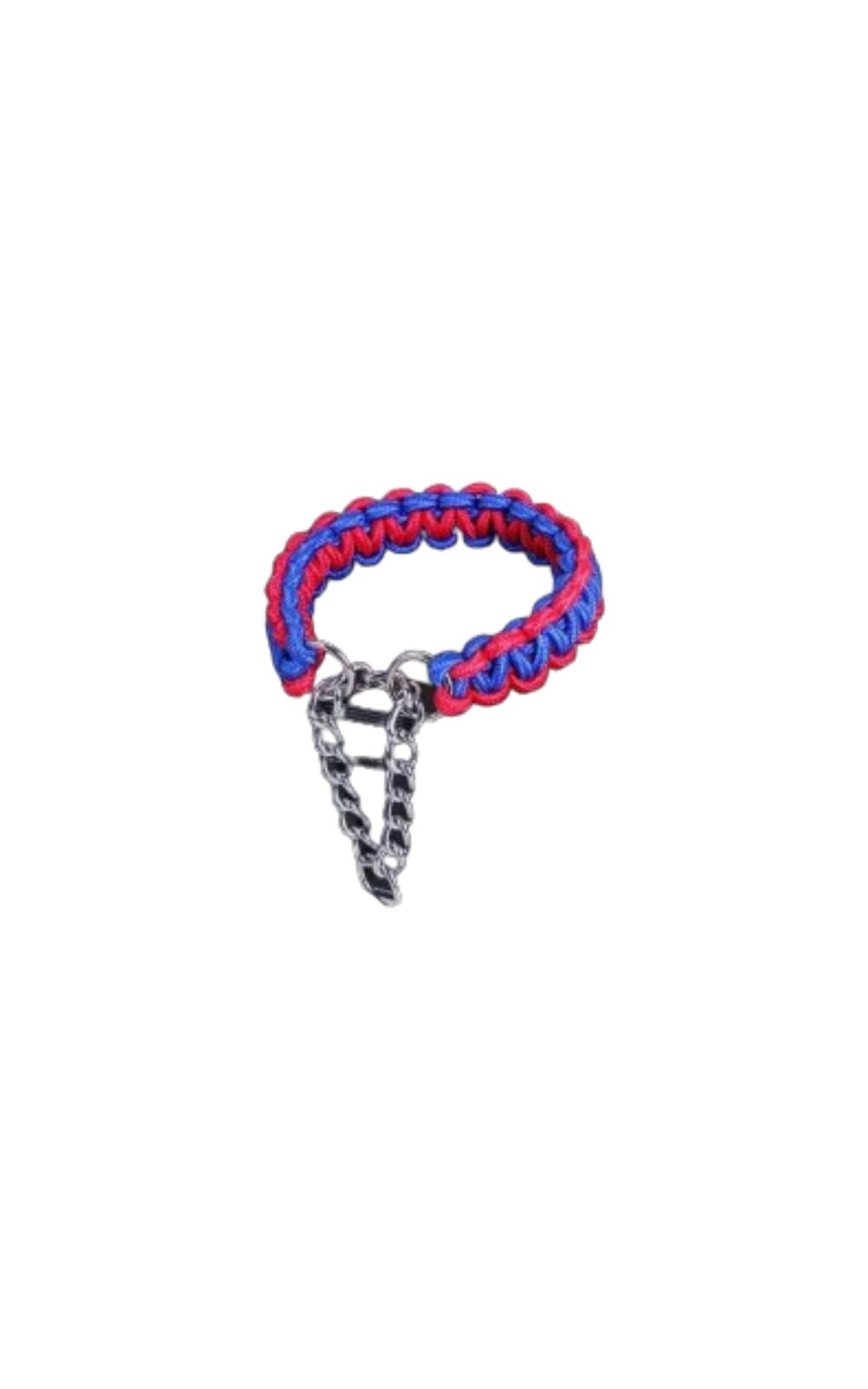 Collier de couleur de haute qualité pour chien