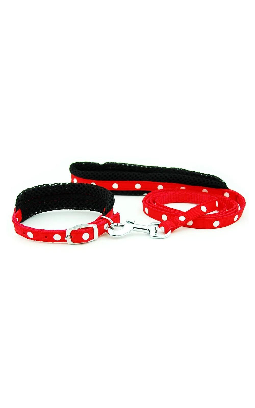 Collier réglable avec laisse pour chien et chiot