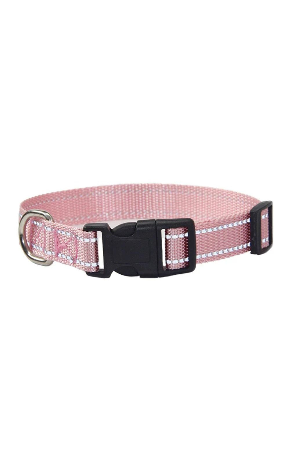 Collier et laisse pour chien en nylon