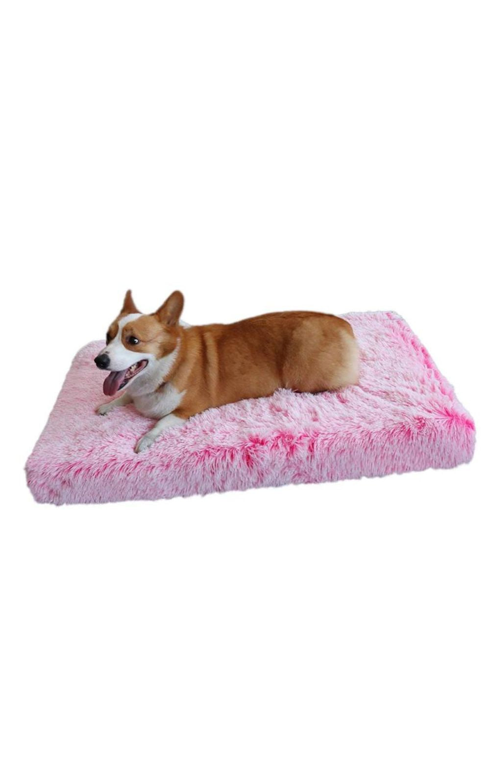 Tapis de lit en peluche pour chien et chat