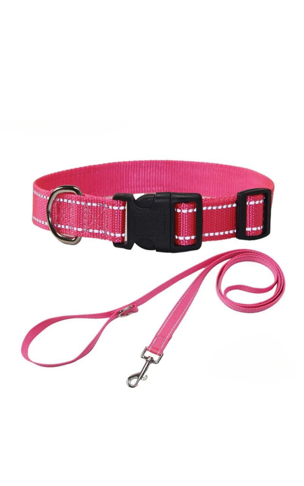 Collier et laisse pour chien en nylon