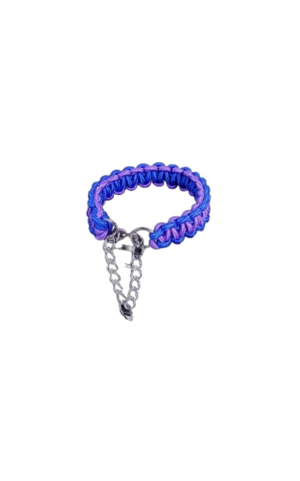 Collier de couleur de haute qualité pour chien