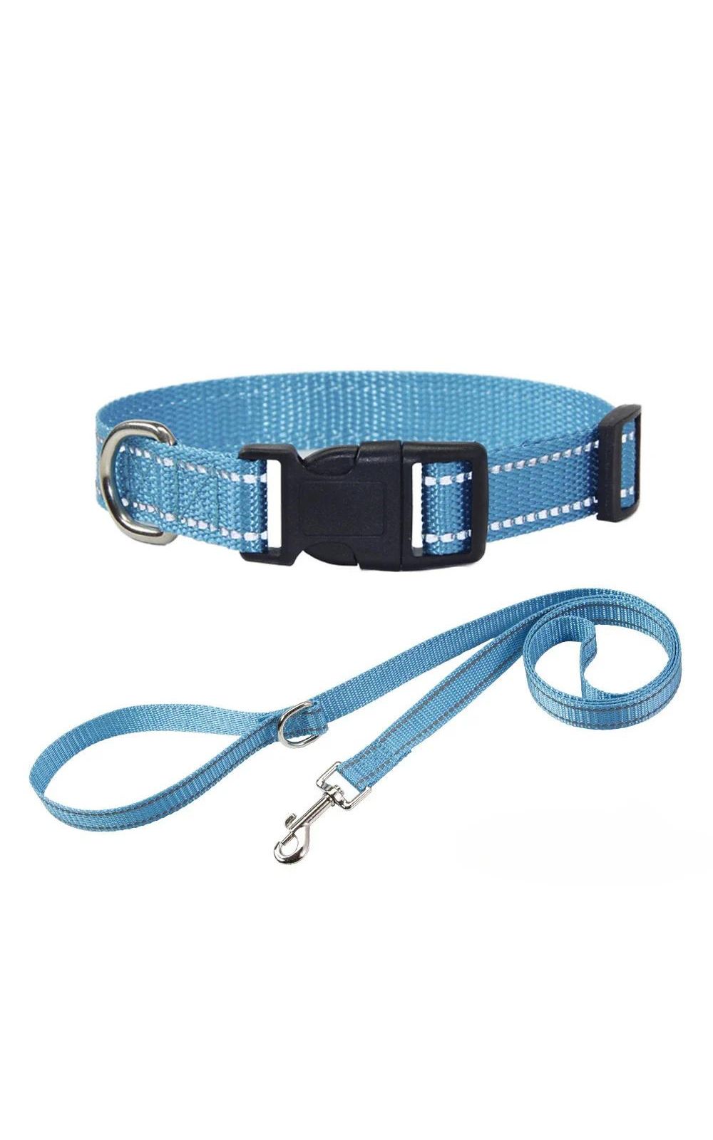 Collier et laisse pour chien en nylon