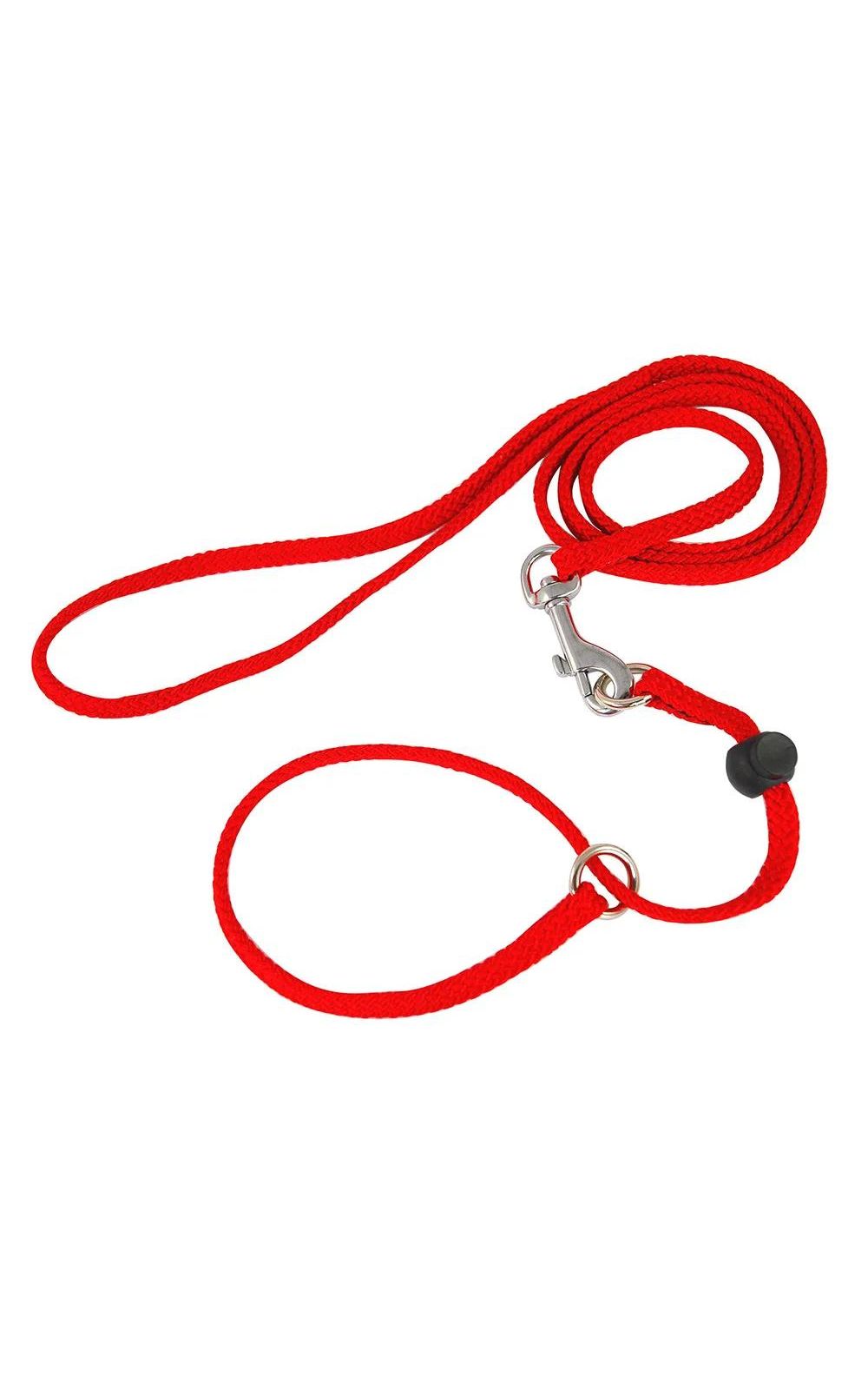 Collier de traction avec laisse d'entraînement en nylon pour chiens