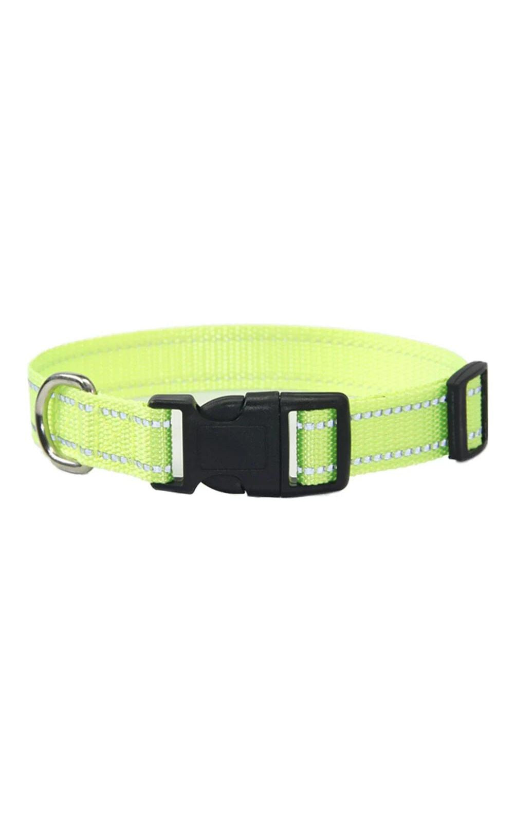 Collier et laisse pour chien en nylon