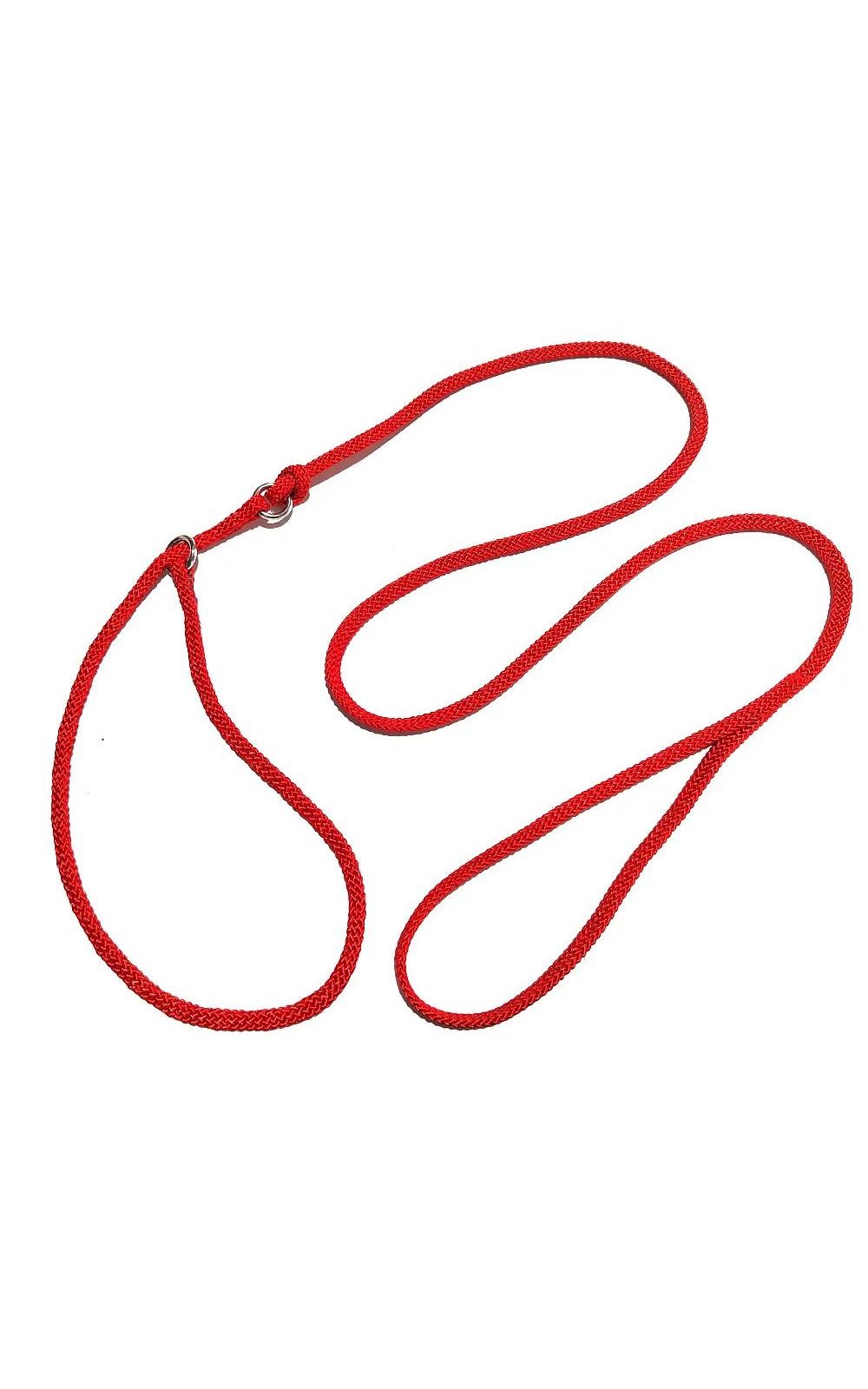 Collier de traction avec laisse d'entraînement en nylon pour chiens