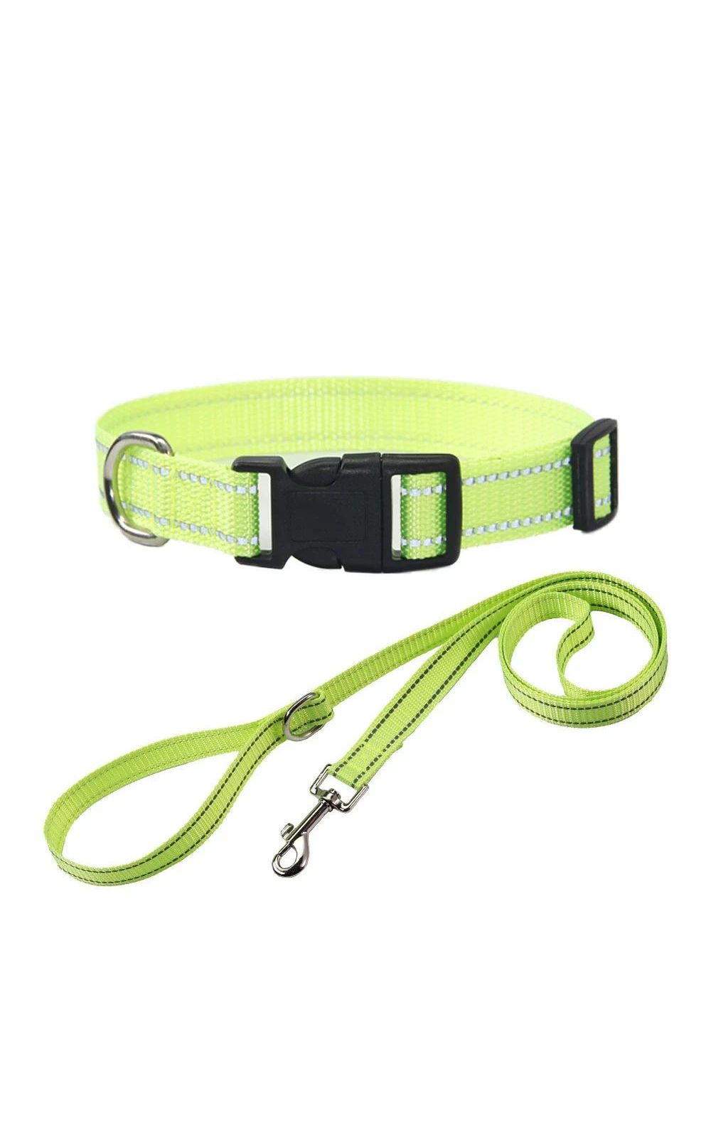 Collier et laisse pour chien en nylon