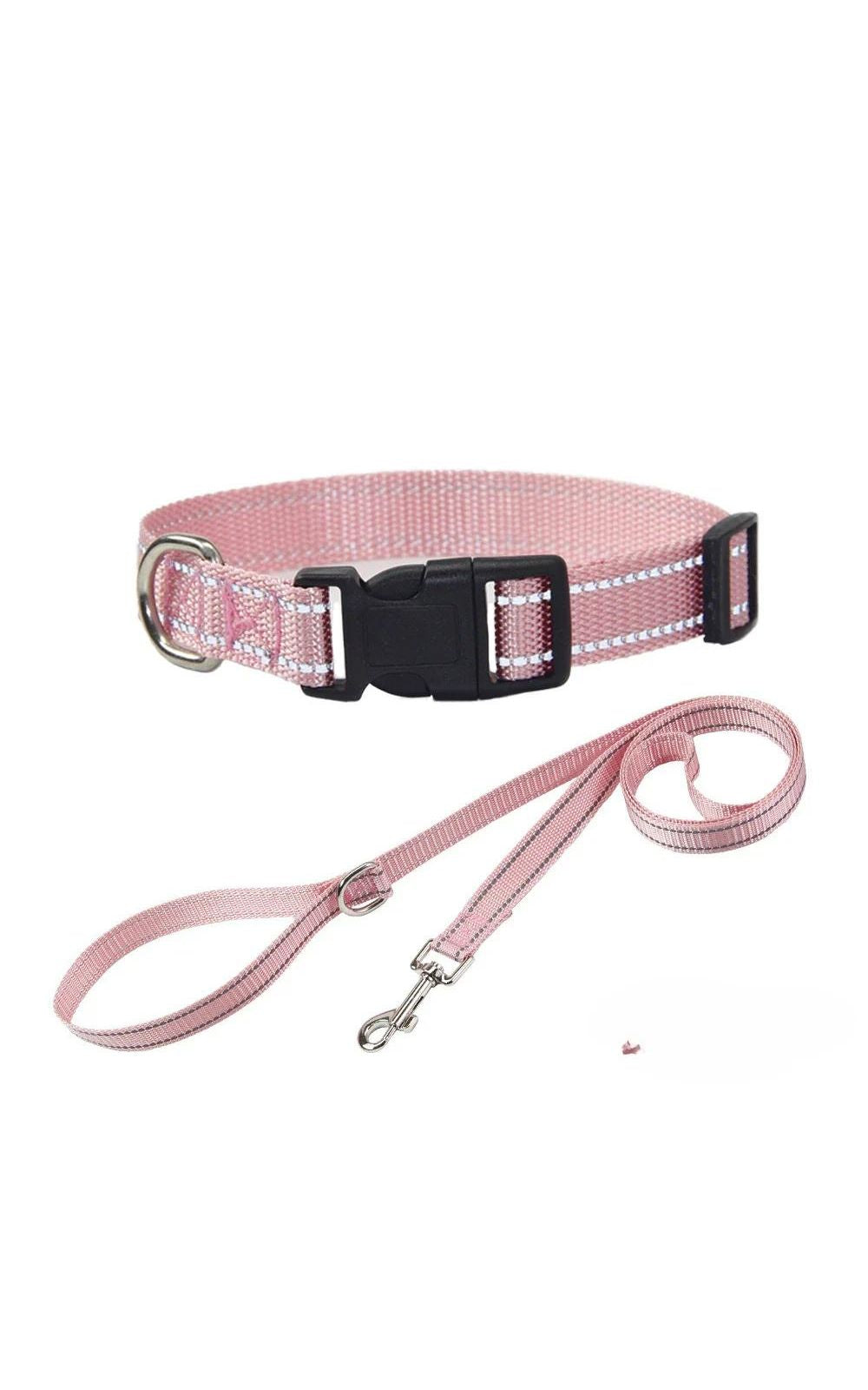 Collier et laisse pour chien en nylon