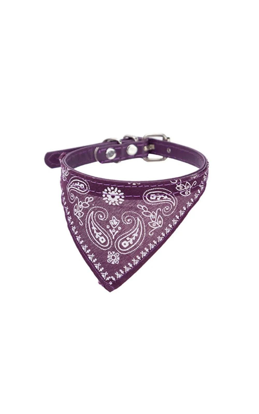 Collier bandana pour petit chien et chiot