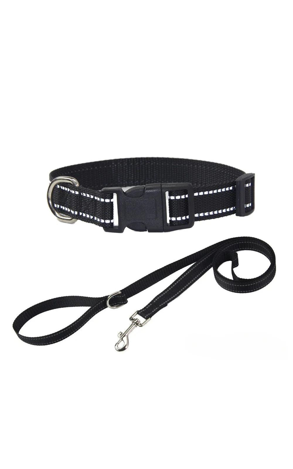 Collier et laisse pour chien en nylon