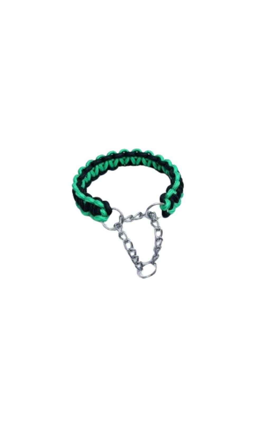 Collier de couleur de haute qualité pour chien