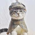 Dailypets Vintage Detective Cat Outfit with Matching Hat and Vest