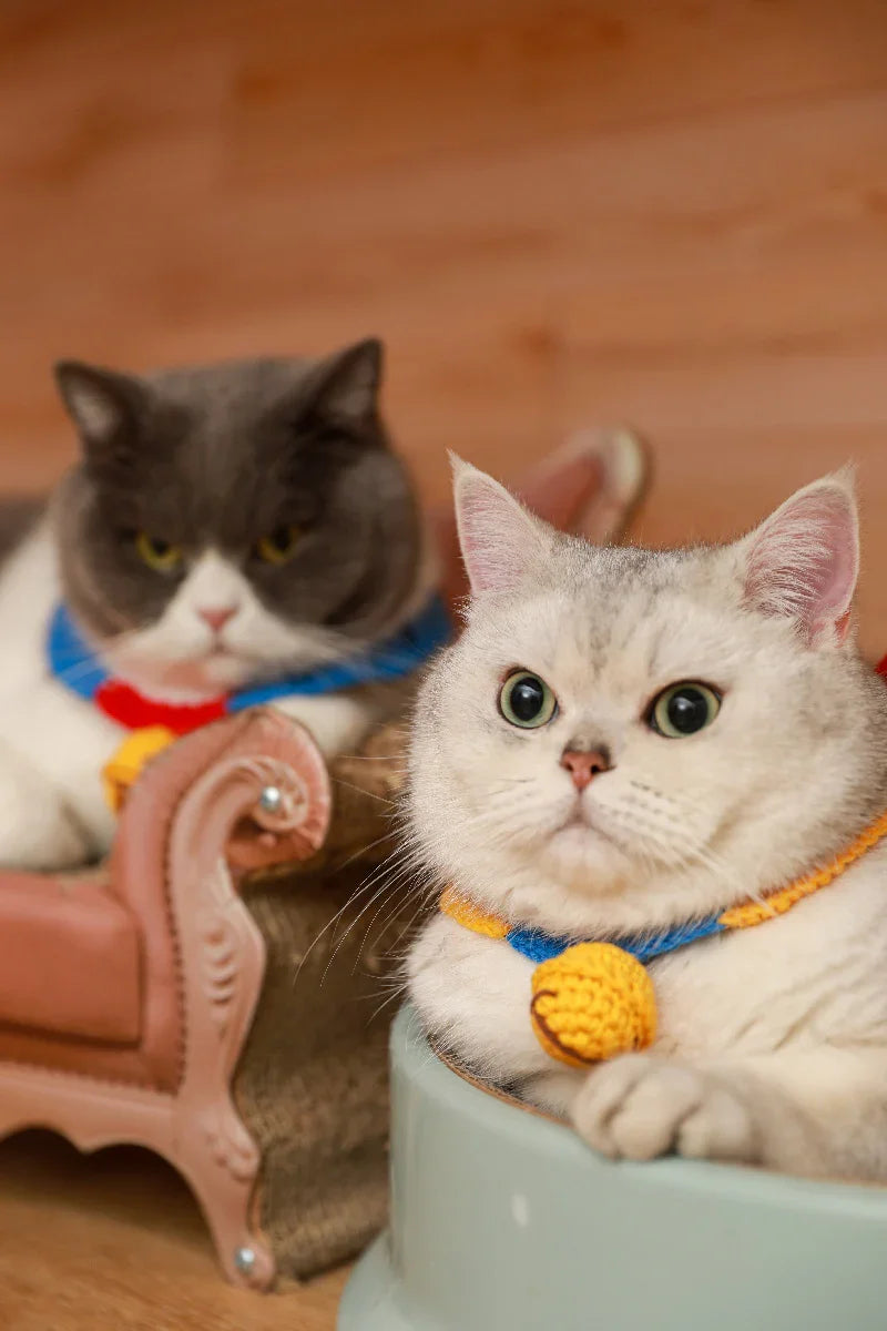 Dailypets Soft Knit Cat Collar with Decorative Bell and Comfortable Fit