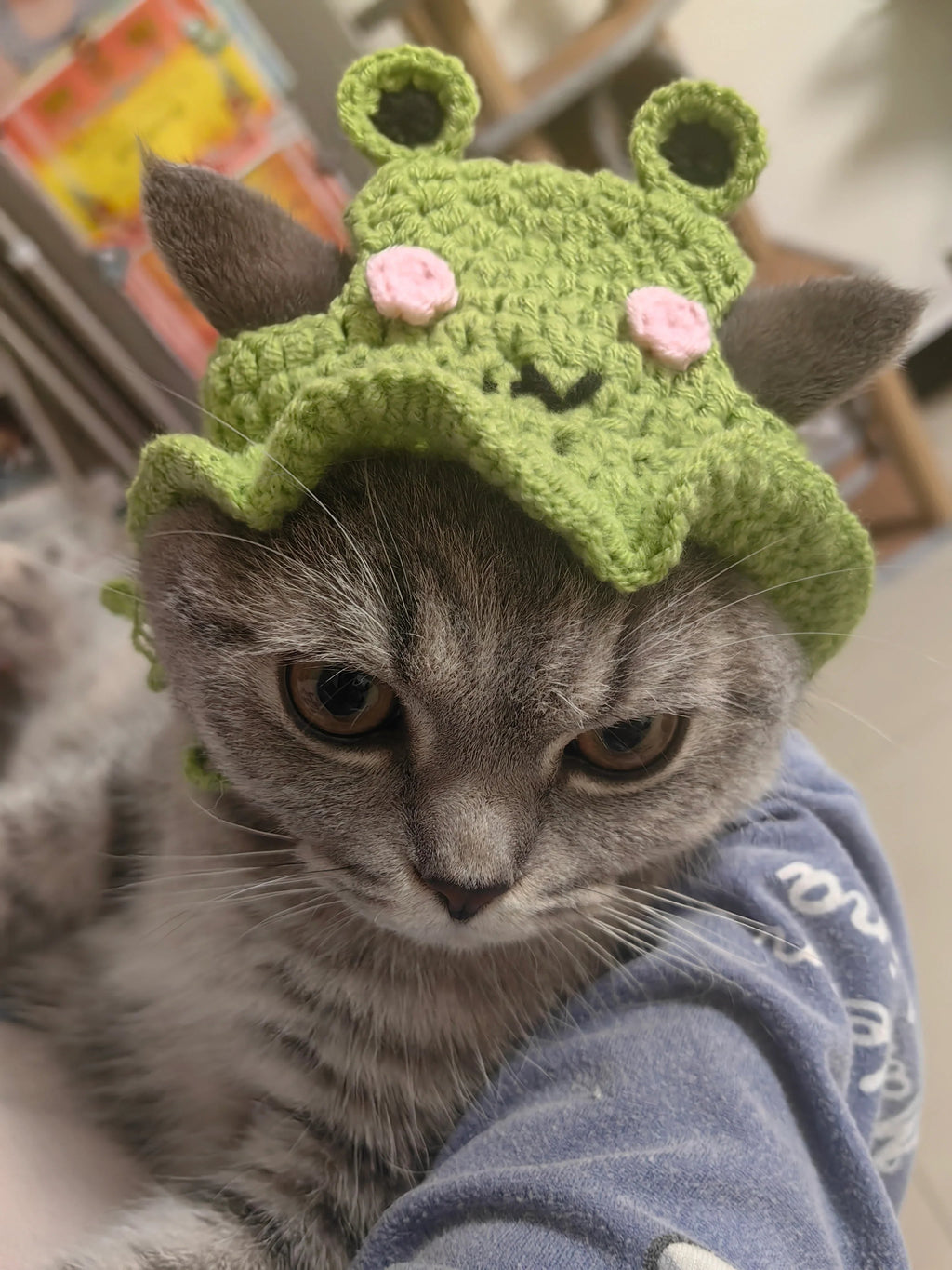 Dailypets Cute Frog Cat Hat for Photo Sessions and Everyday Dress-Up
