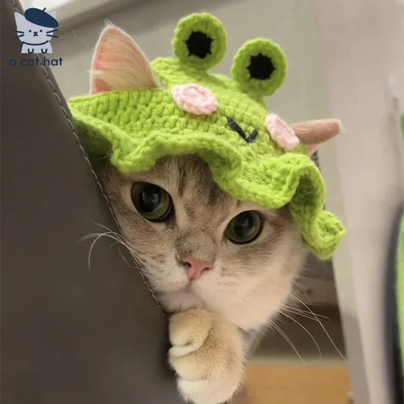 Dailypets Cute Frog Cat Hat for Photo Sessions and Everyday Dress-Up
