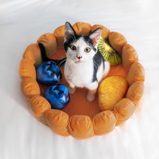 Dailypets Cozy Fruit Tart Cat Bed with Playful Plush Accents