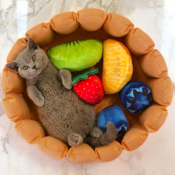 Dailypets Fruit Cushion Cat Bed, Plush Tart Nest for Naps and Play