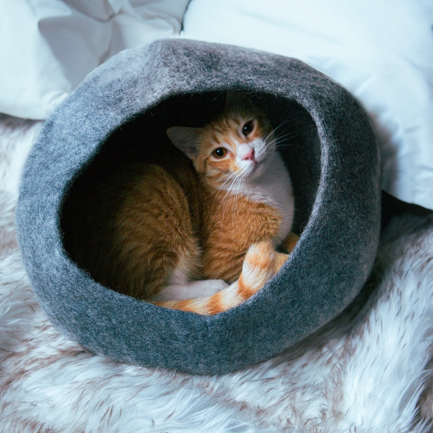 Dailypets Cozy Felted Wool Cat Cave Bed