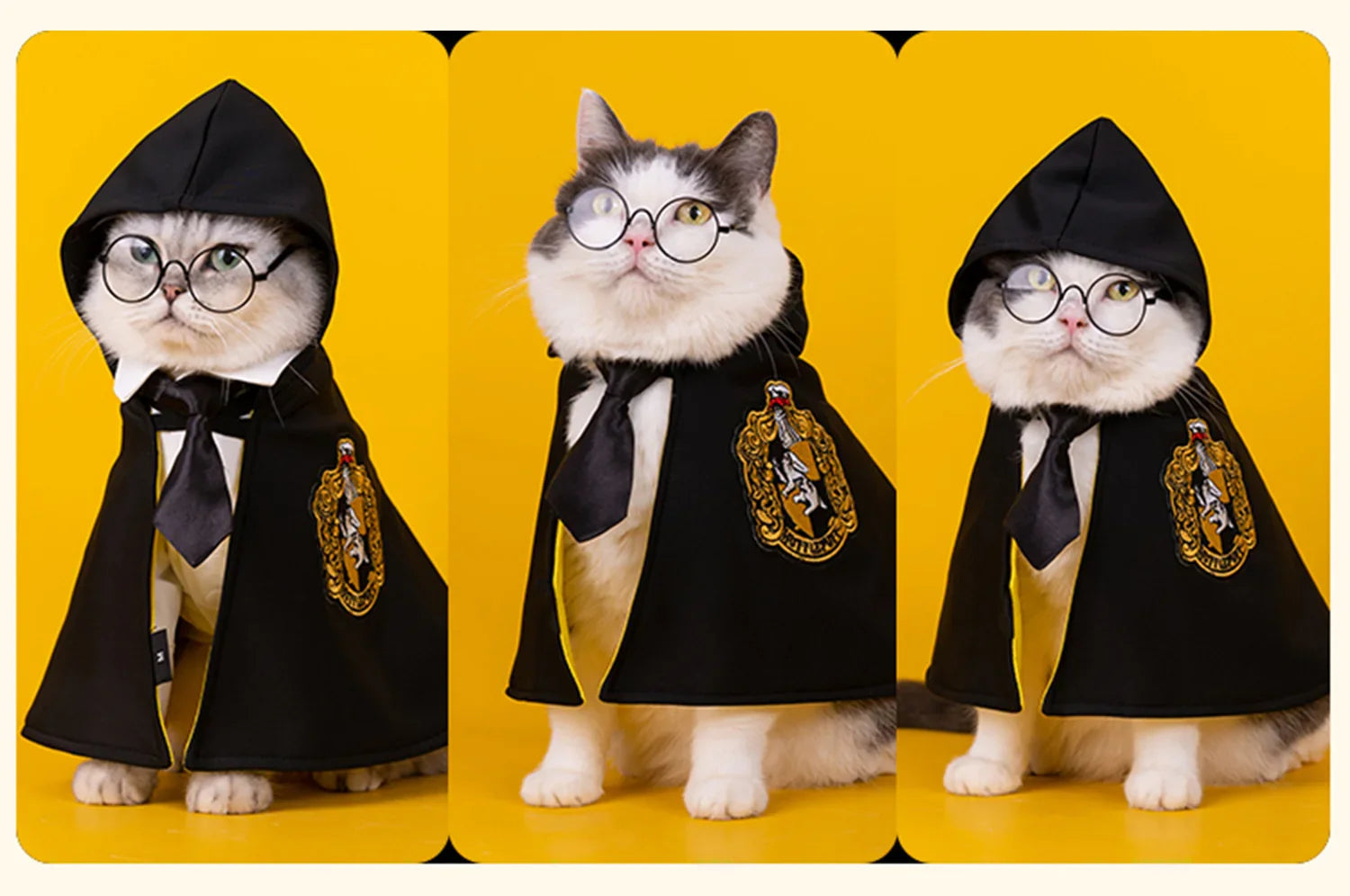 Dailypets Wizard-Inspired Cat Costume Set for Photo Sessions and Special Occasions