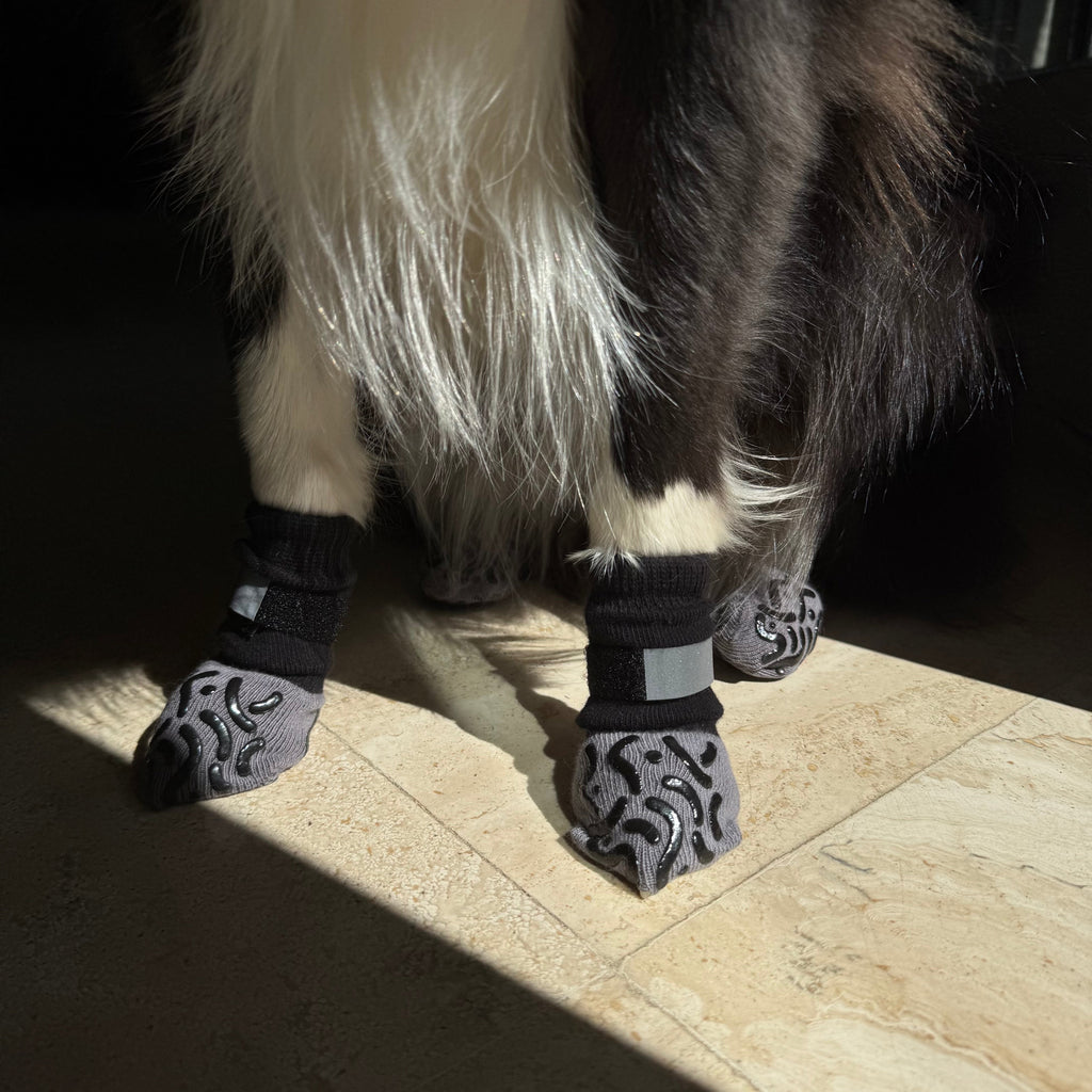 Dailypets Anti-Slip Dog Socks with Extra Grip for Indoor Comfort and Paw Protection