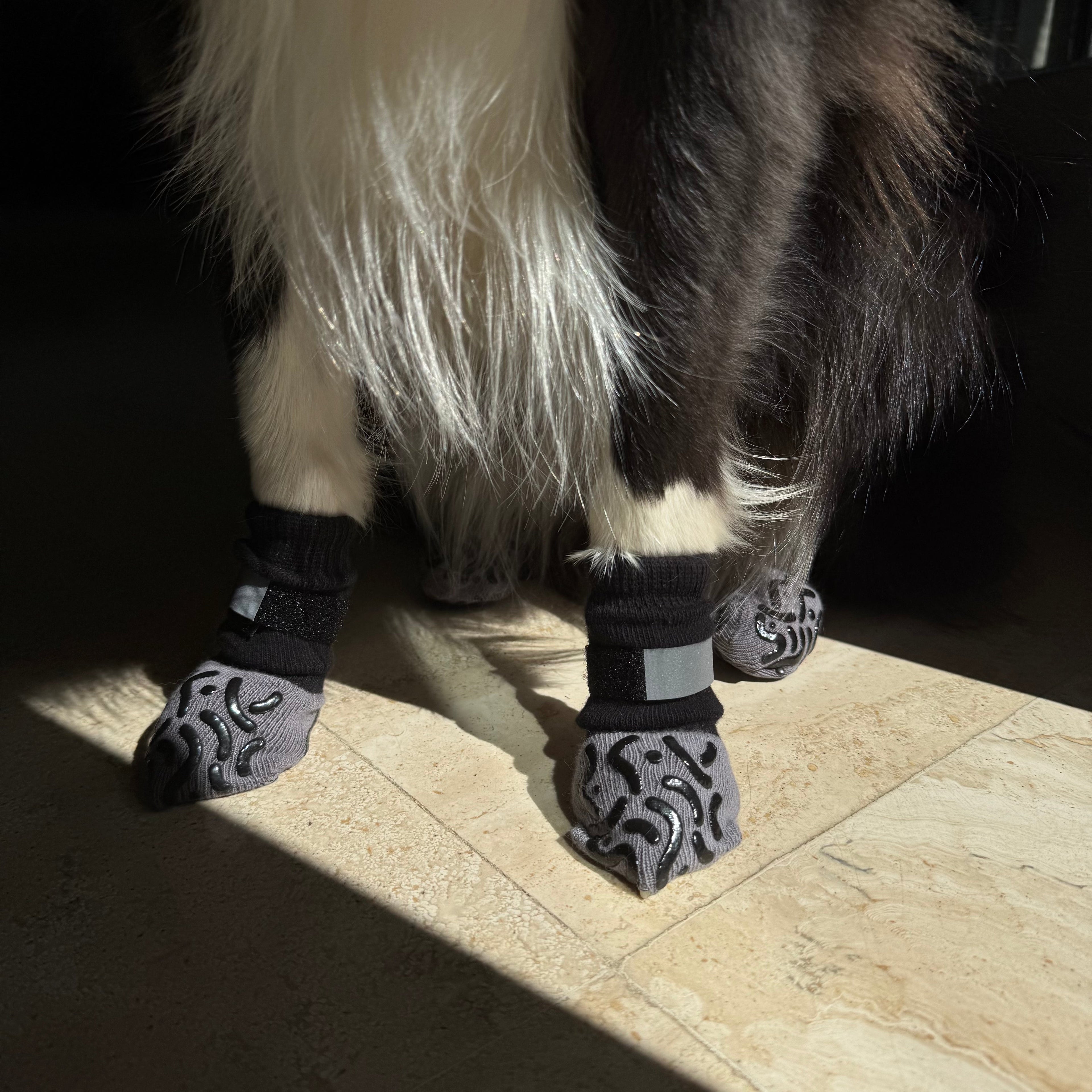 Dailypets Anti-Slip Dog Socks with Extra Grip for Indoor Comfort and Paw Protection