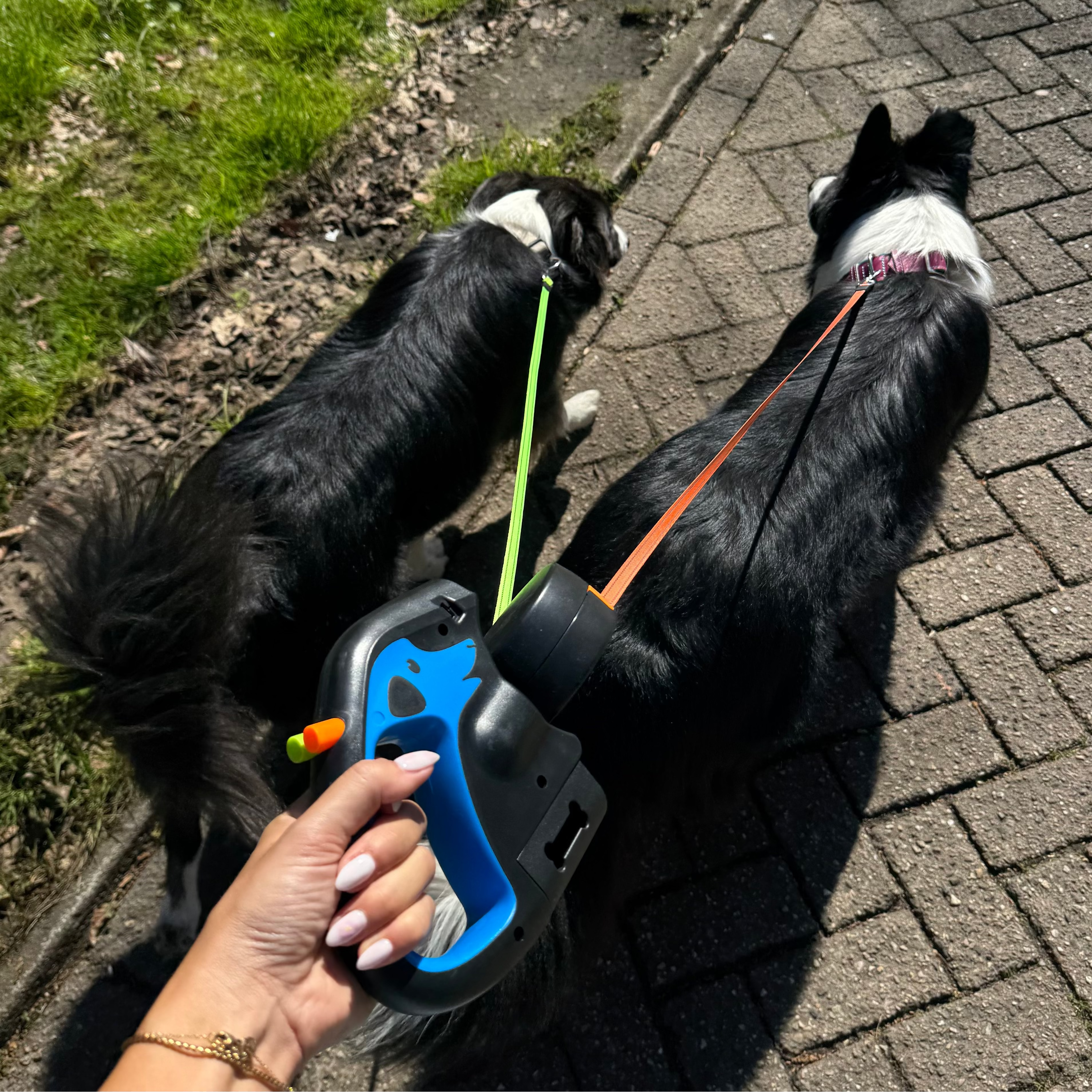 Dailypets 3-in-1 Dual Retractable Dog Leash with Flashlight & Waste Bag Holder