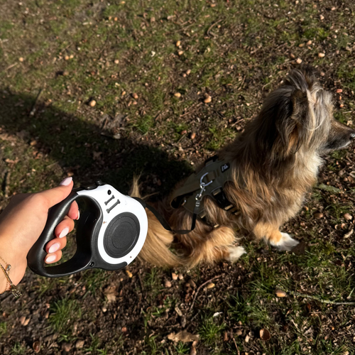 Dailypets 3 m & 5 m Retractable Dog Lead with Ergonomic Grip and Secure Lock