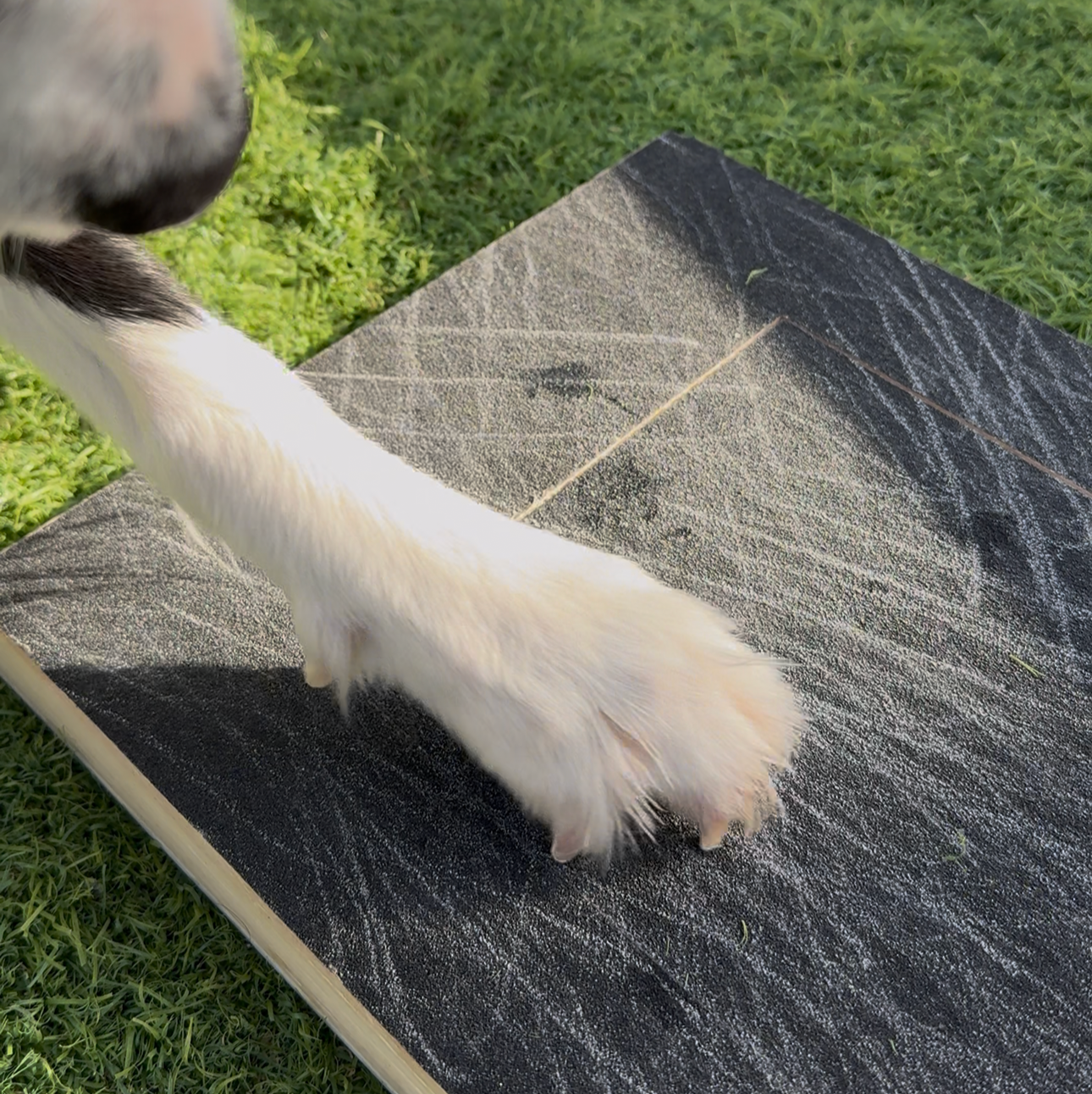 Dailypets Wooden Pet Nail Scratch Board for Natural Dog Nail Maintenance at Home