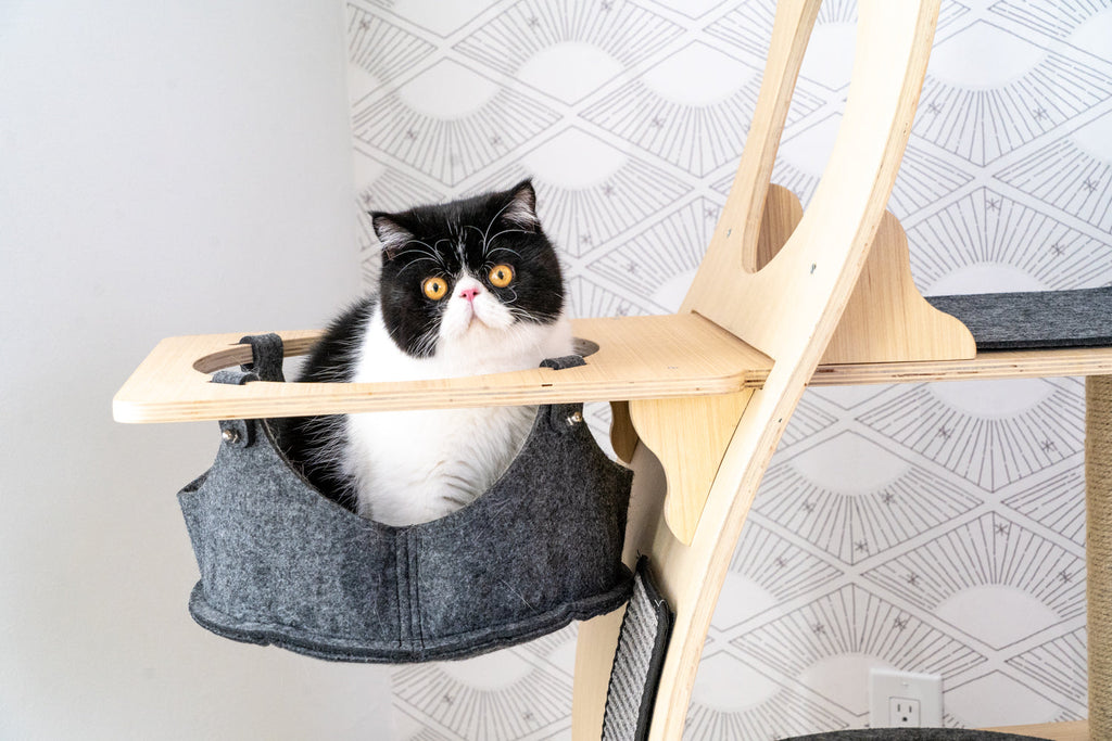 Dailypets Wooden Cat Tower with Observation Perch