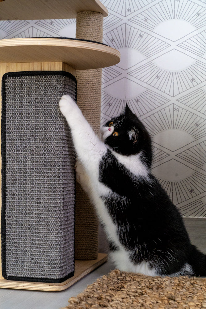 Dailypets Wooden Cat Tower with Observation Perch